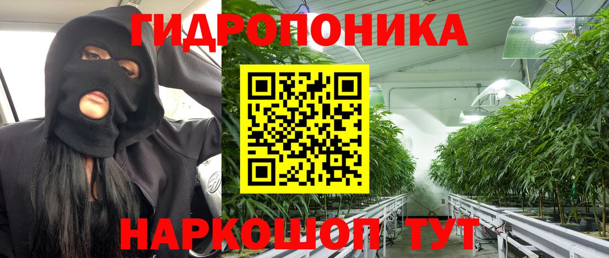 Конопля семена  МАРИХУАНА план  Конопля SATIVA & INDICA  Каннабис OG Kush  Мариинск  Вход с VPN 